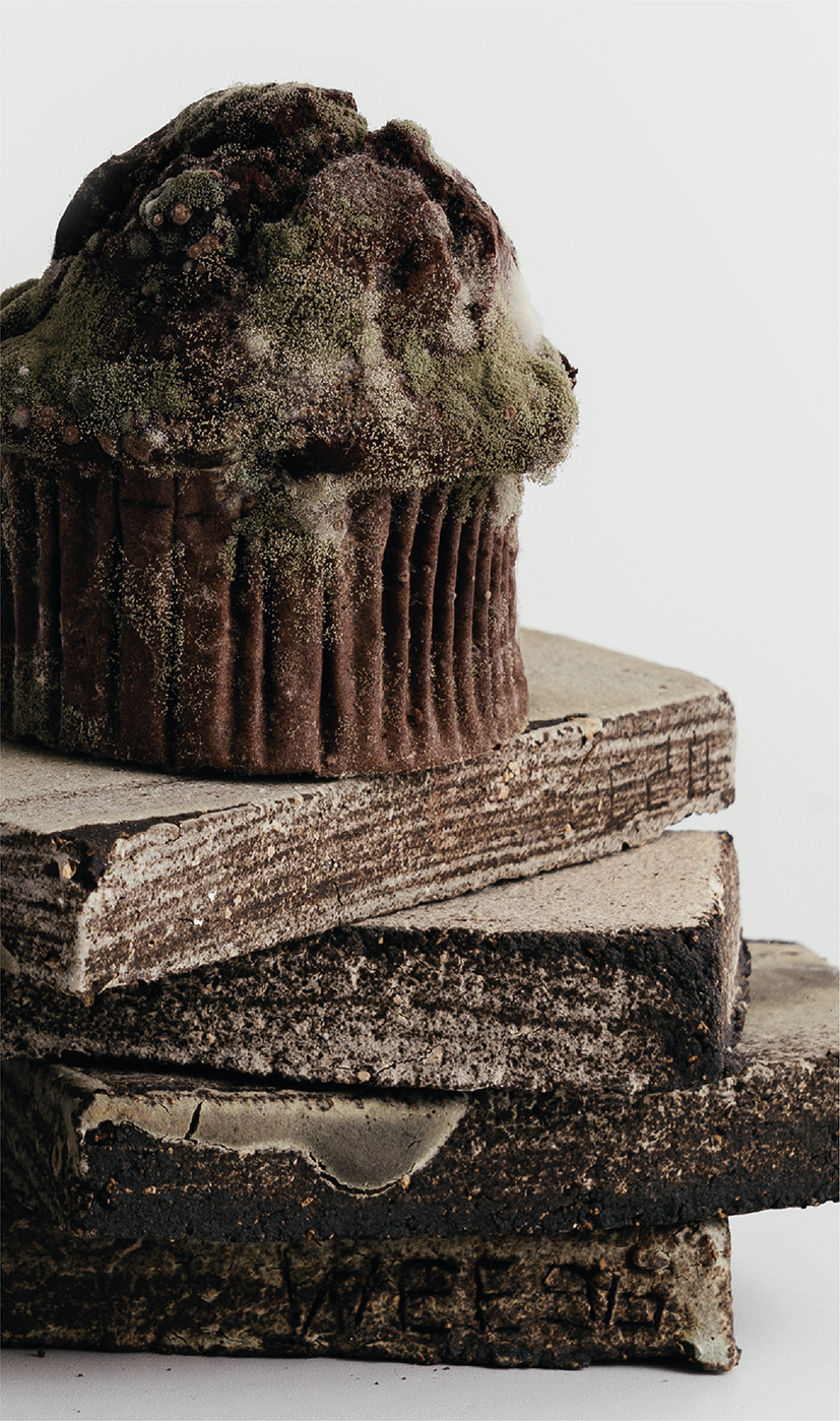 "Mold" Bonsai Pot (with Saucer)