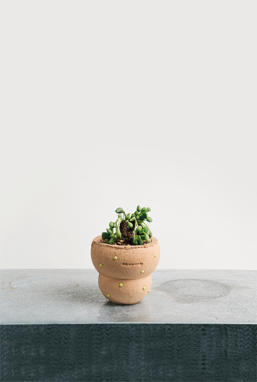 "Bagel" Pot (with Saucer)