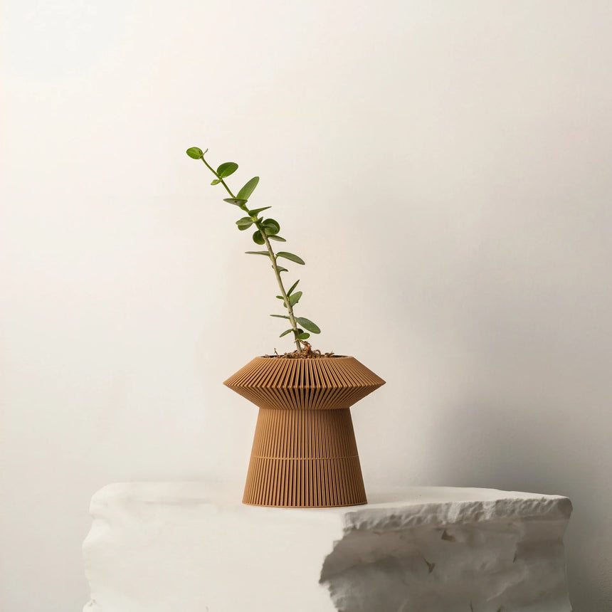 Revolve self-watering & air pruning planter