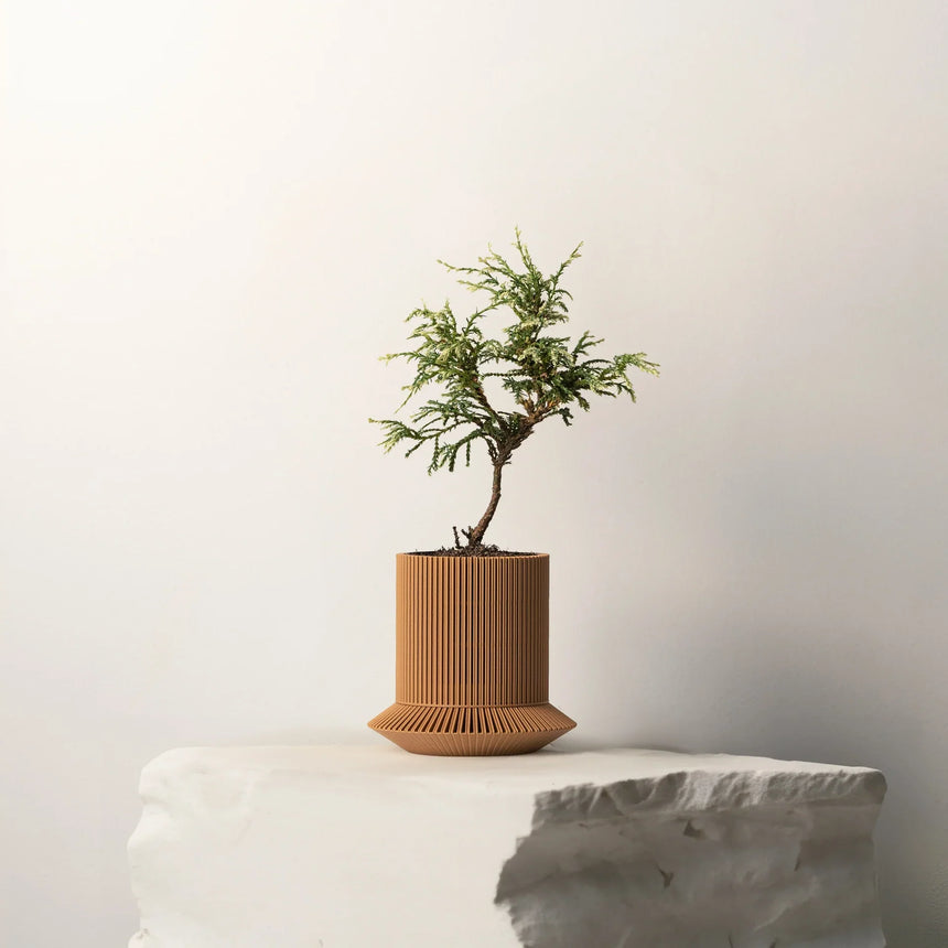 The Koshido self-watering & air-pruning plante