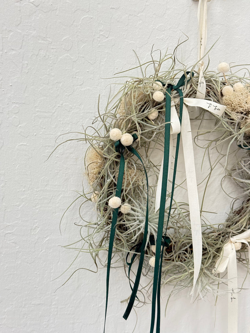 Air Plant Christmas Wreath