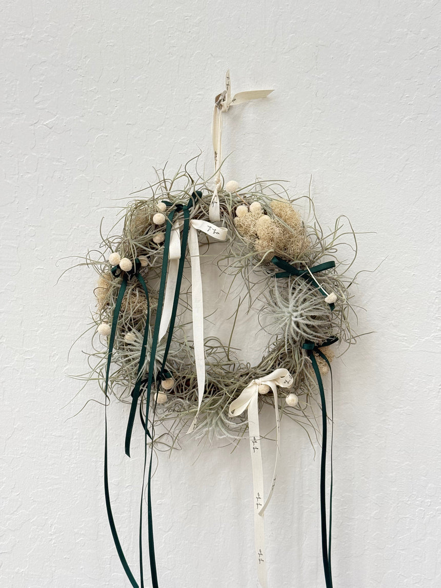 Air Plant Christmas Wreath