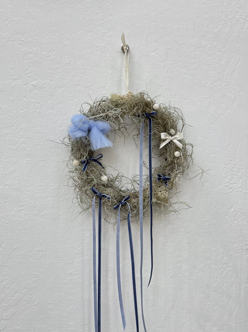 Air Plant Christmas Wreath