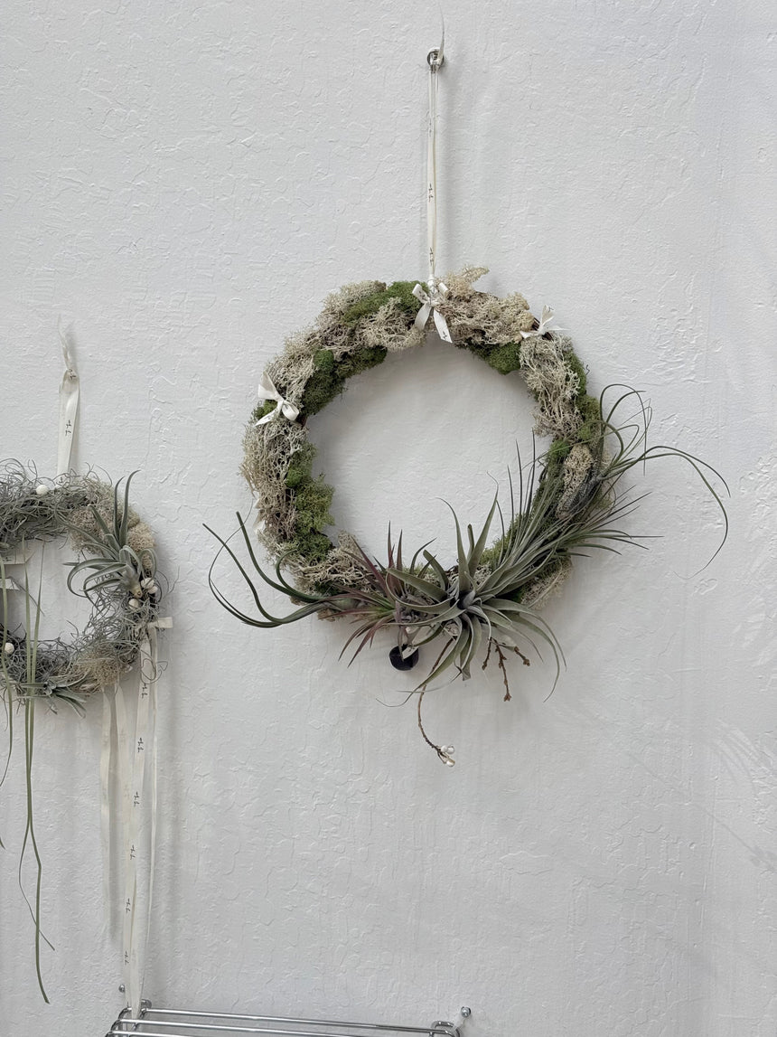 Air Plant Christmas Wreath