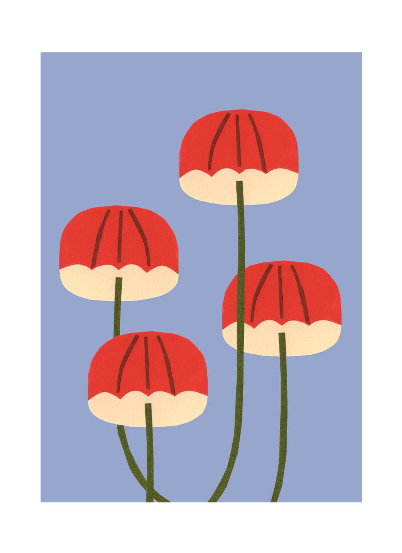 Umbrella Mushrooms - Makitoy