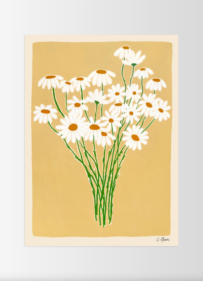 Daisies -  Carla Llanos