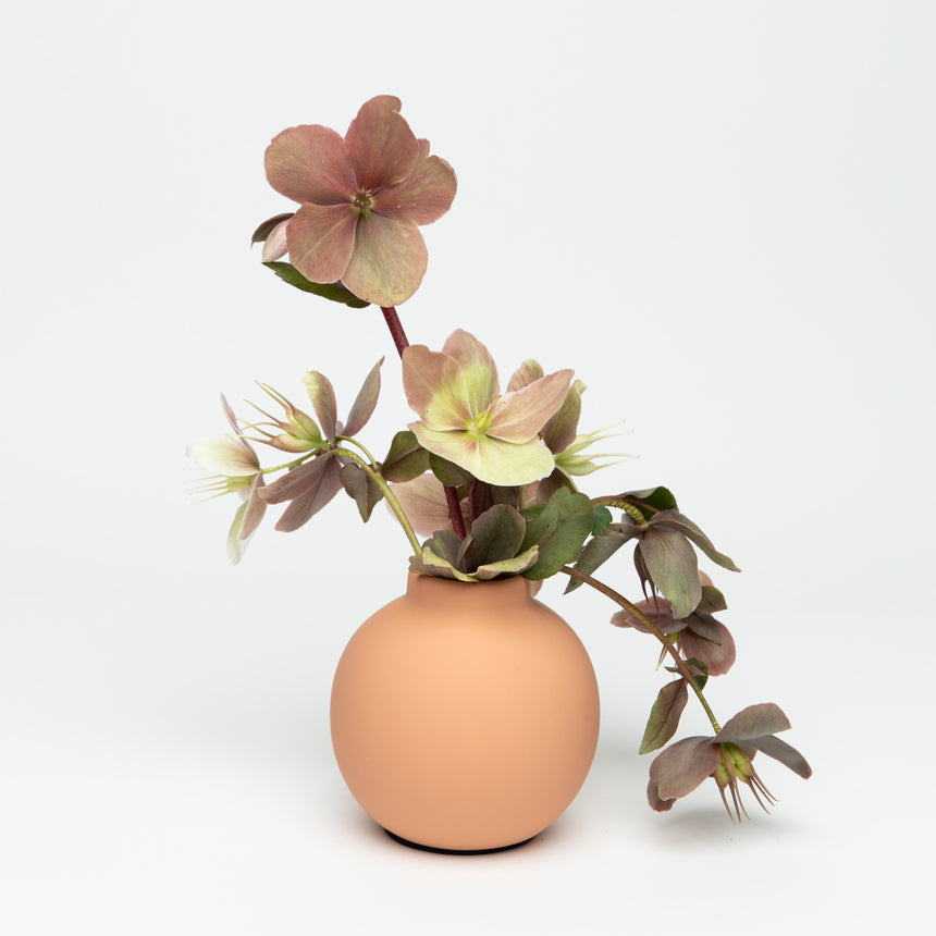 Morandi Ball Vase - fafaFun