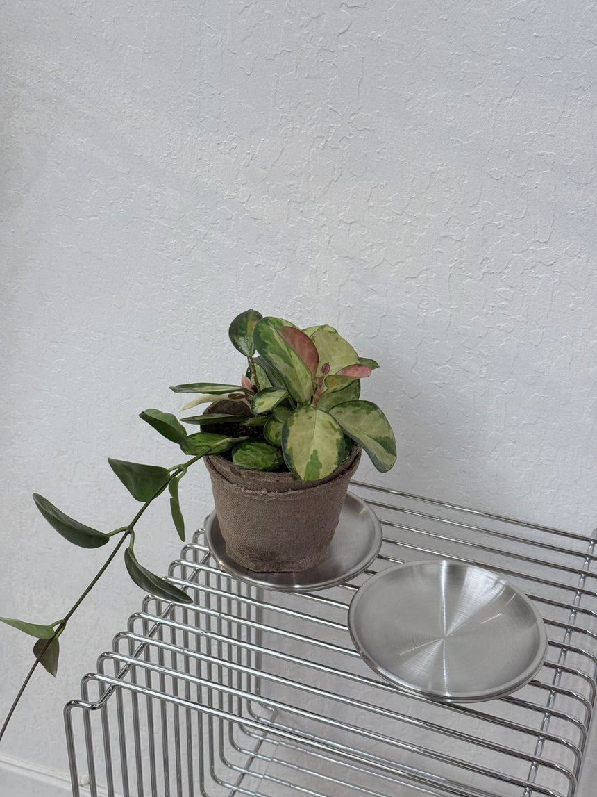 Stainless Steel Saucer