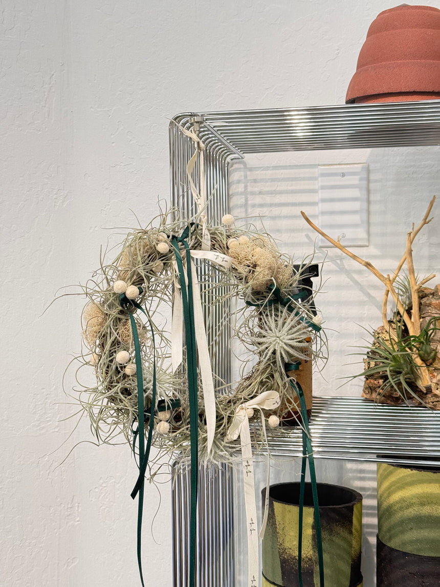 Air Plant Christmas Wreath
