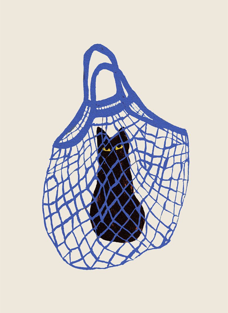 The Cat's In The Bag - Chloe Purpero Johnson