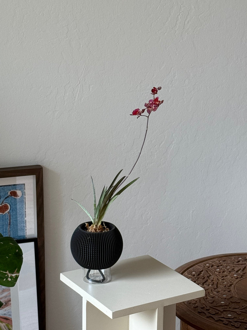 ORB SELF-WATERING & AIR PRUNING PLANTER