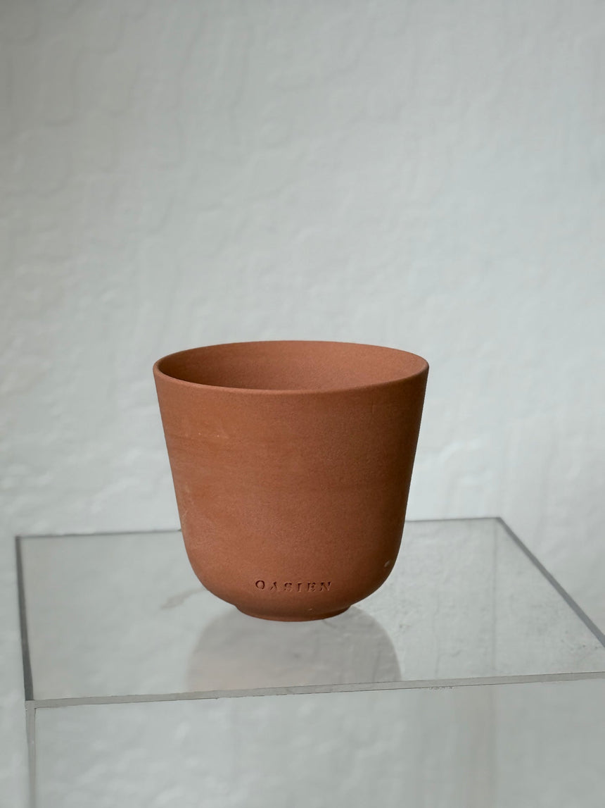 Saguaro pot - orange & orange