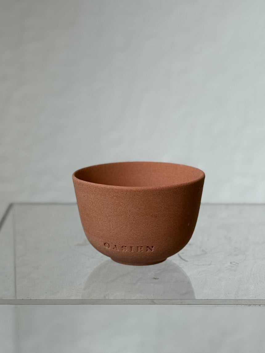 Saguaro pot - orange & orange