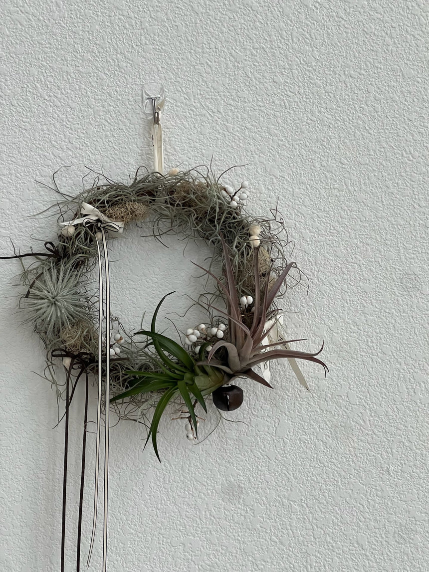 Air Plant Christmas Wreath
