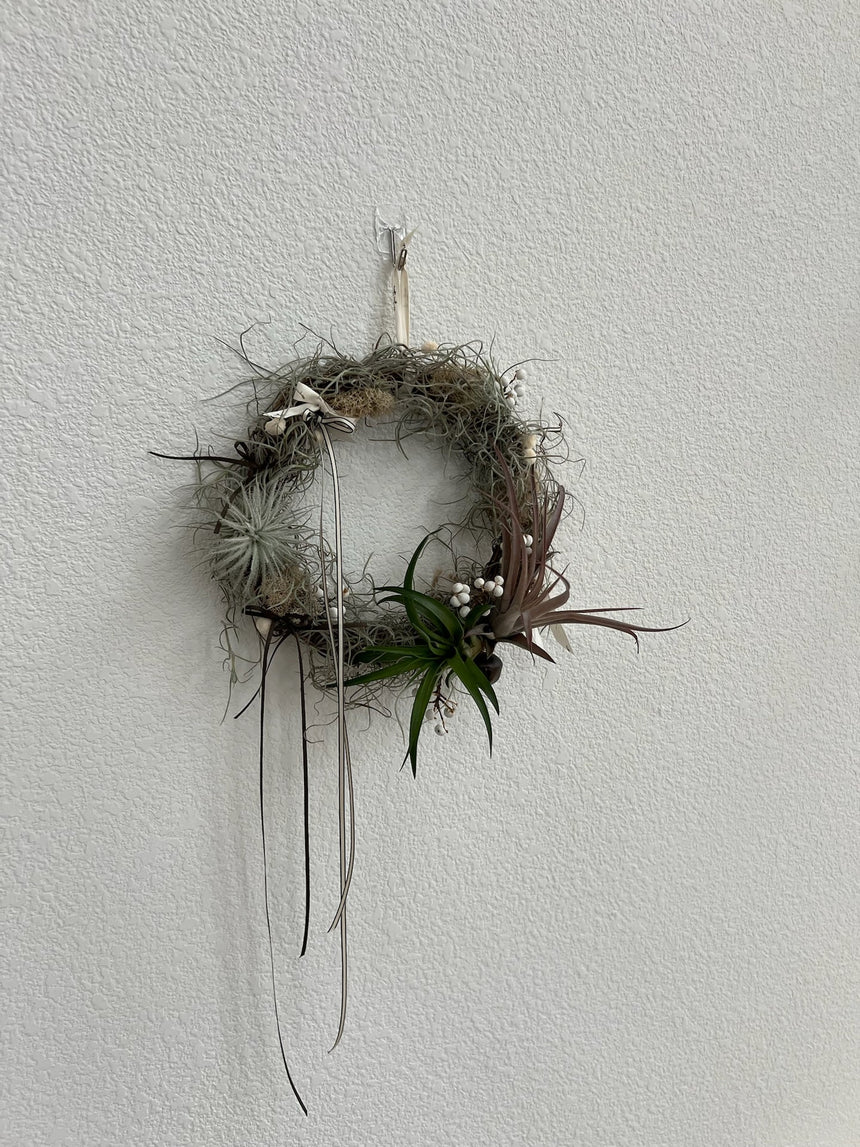 Air Plant Christmas Wreath