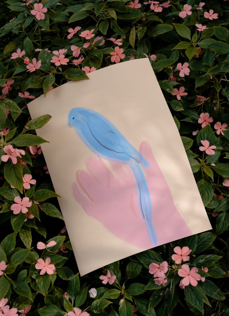 Parrot in Hand - Oamul