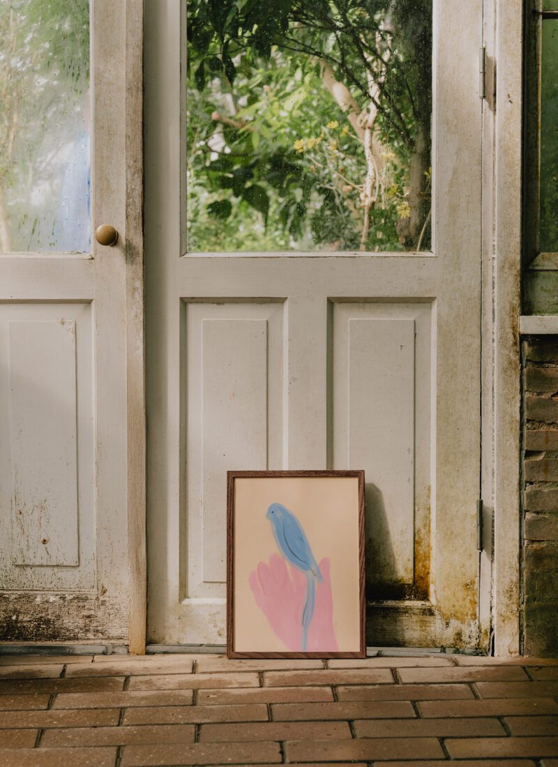 Parrot in Hand - Oamul