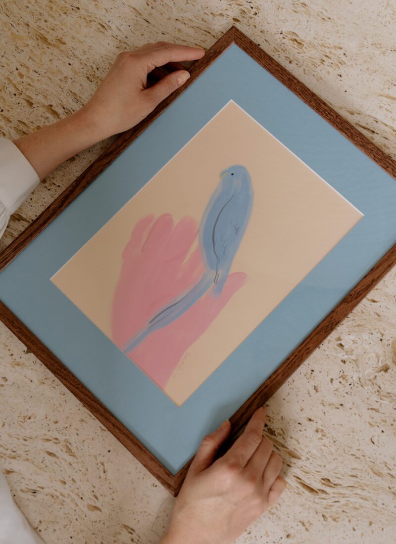 Parrot in Hand - Oamul